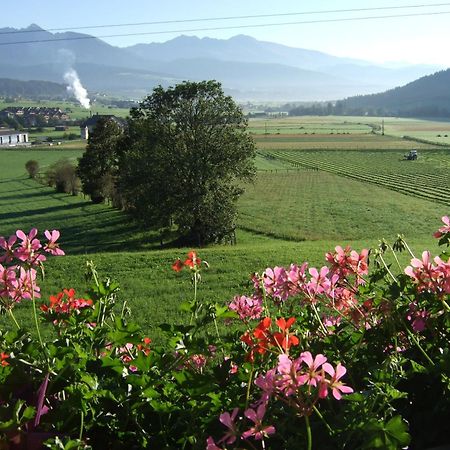 Ferienwohnungen Trattner Mauterndorf  Bagian luar foto