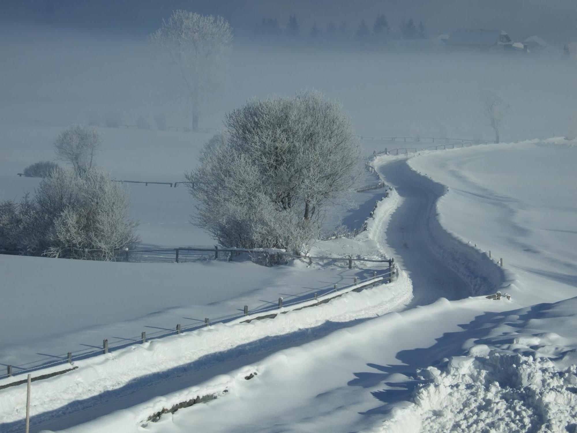 Ferienwohnungen Trattner Mauterndorf  Bagian luar foto