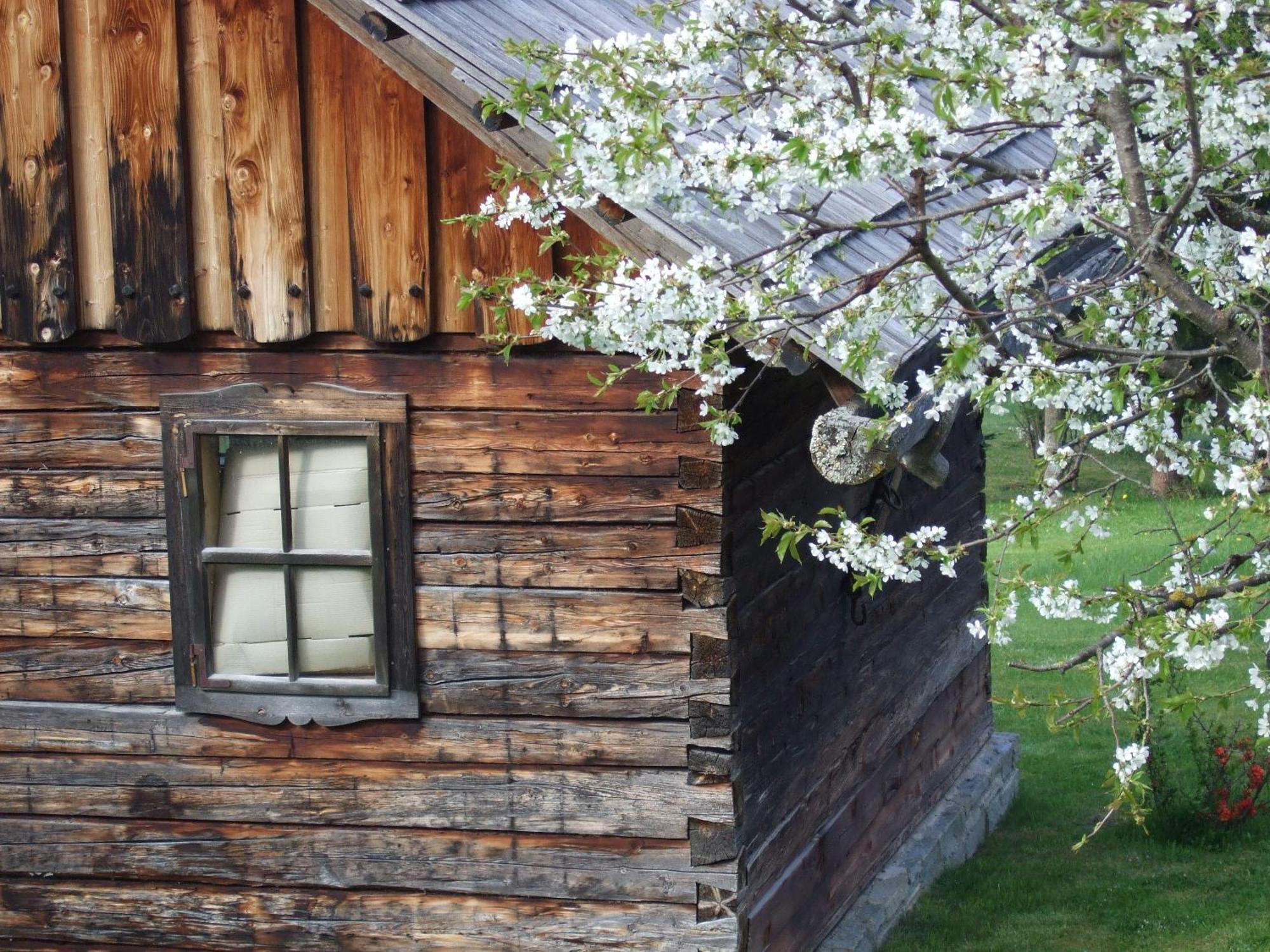 Ferienwohnungen Trattner Mauterndorf  Bagian luar foto